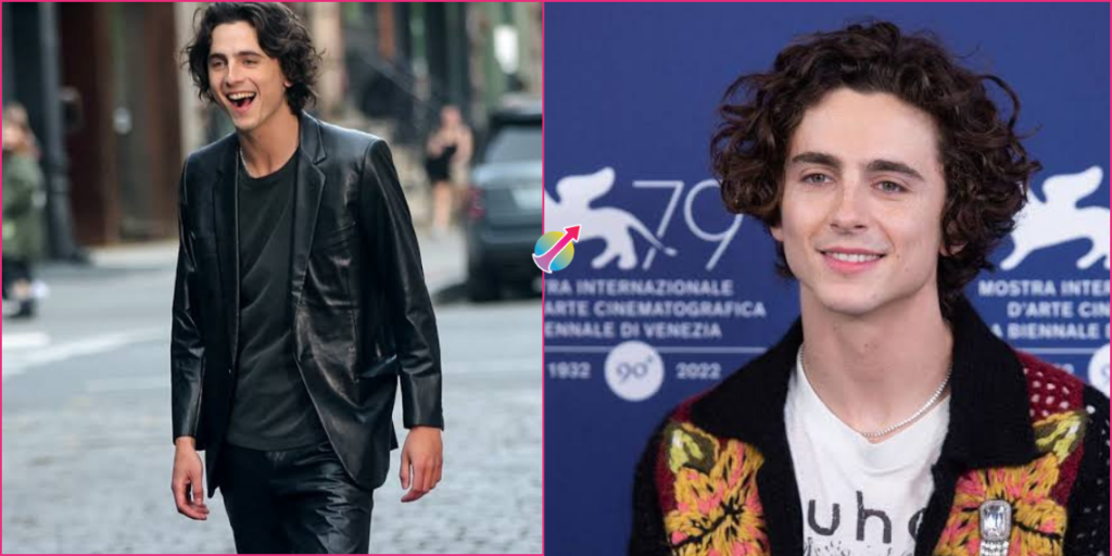 Timothy Chalamet Net Worth 2026: Career and Earnings Timothy Chalamet Net Worth