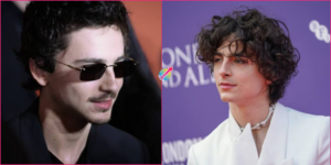 Timothy Chalamet Net Worth